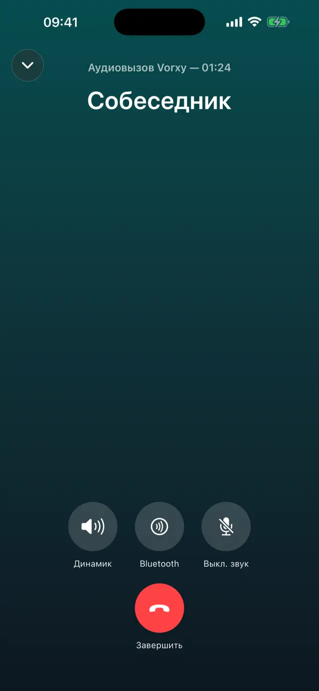 Экран аудиозвонка Vorxy на iPhone