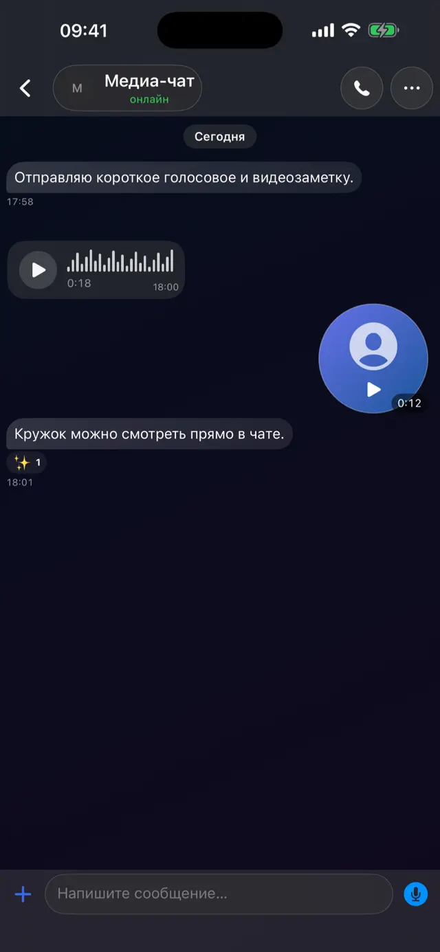Голосовое сообщение и видеозаметка в чате